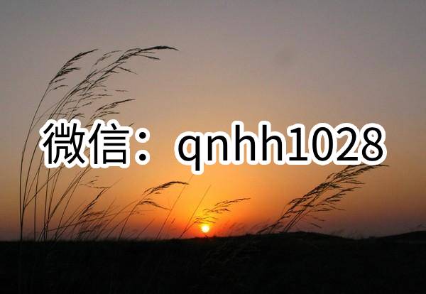 广州抓龙筋